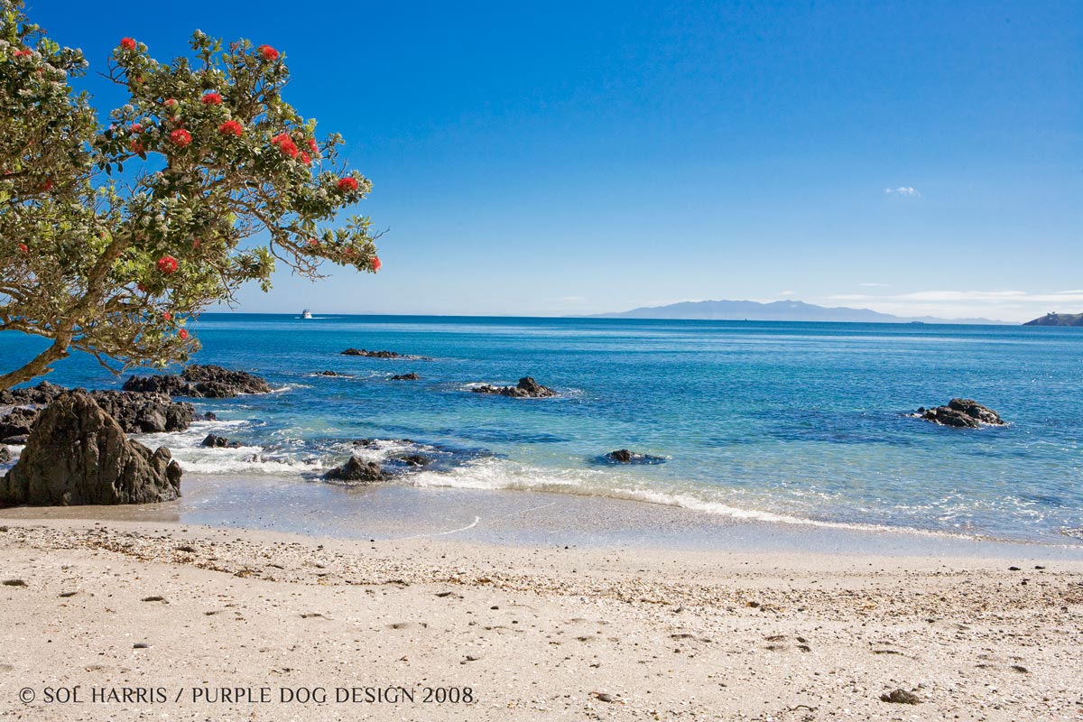 Waiheke beach by Sol Harris